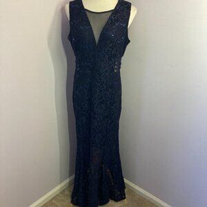 Alexa B Nites Lacy Dress, EUC, Size 14